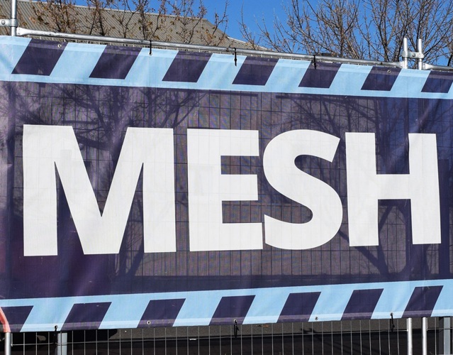 mesh
